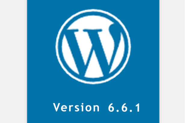ekdosi-wordpress-6-6-1